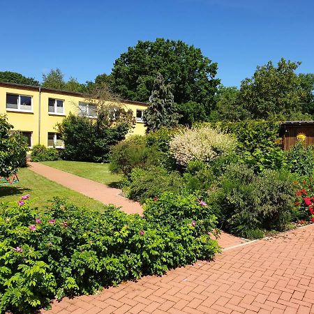 Ferienwohnung Ruegen In Samtens المظهر الخارجي الصورة